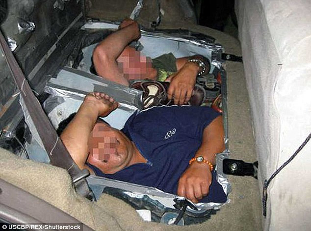 Ngay cả sàn xe cũng trở thành nơi ẩn nấp. (Nguồn: Dailymail)