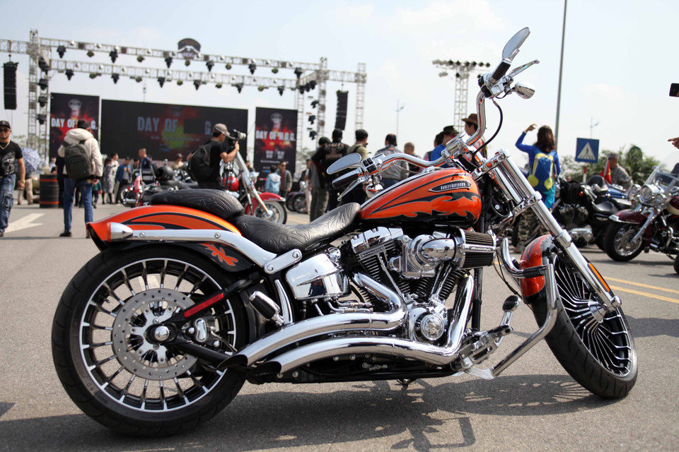 (Ảnh: Doãn Đức/Vietnam+)