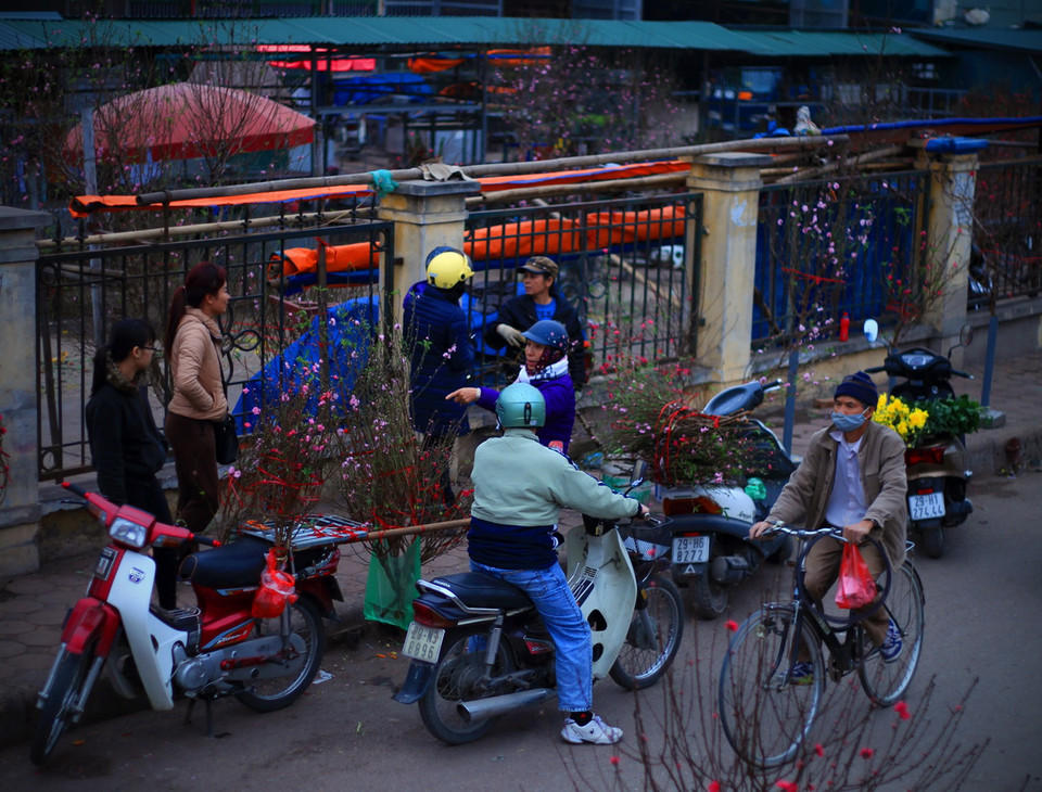Chợ hoa Quảng An bắt đầu bày bán nhiều cành đào phục vụ người dân đón không khí Tết sớm. (Ảnh: Trọng Đạt/TTXVN) 