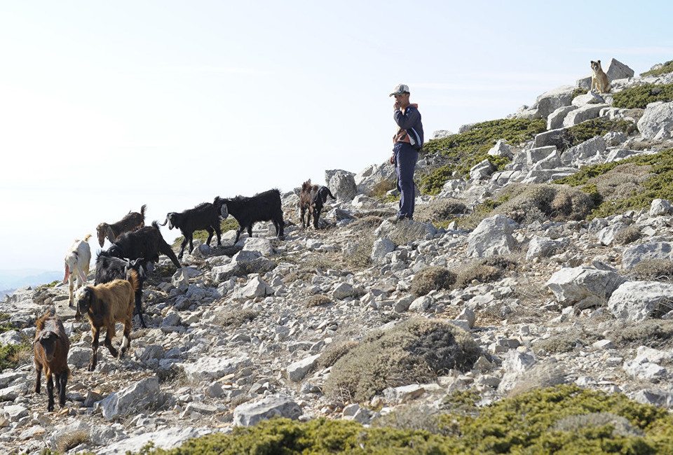 Cậu bé đang trông đàn cừu trên núi gần Slenfe. (Nguồn: Sputniknews)