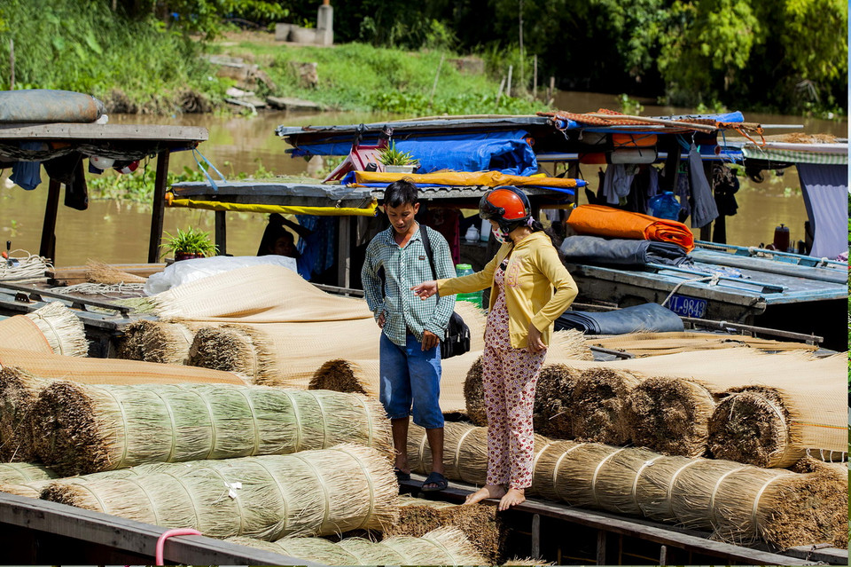 Làng chiếu Định Yên nằm cạnh sông Hậu, thuộc xã Định Yên, huyện Lấp Vò là địa chỉ không thể thiếu trong các điểm tham quan hấp dẫn của tỉnh Đồng Tháp với nghề dệt chiếu nổi tiếng cách đây hàng trăm năm. Đến Định Yên bạn sẽ thích thú với màu sắc từ trong nhà ra ngoài ngõ bởi những sợi lát xanh, đỏ, vàng, trắng, tím. (Ảnh: Minh Đức/TTXVN)