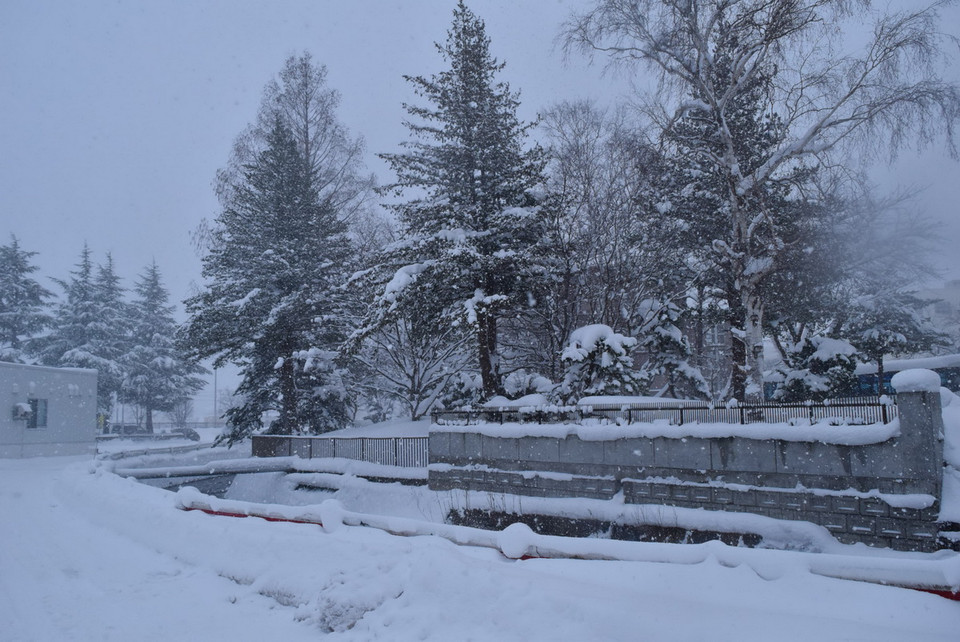 Tuyết phủ trắng sân trường. (Ảnh: Nguyễn Tuyến-Gia Quân/Vietnam+)