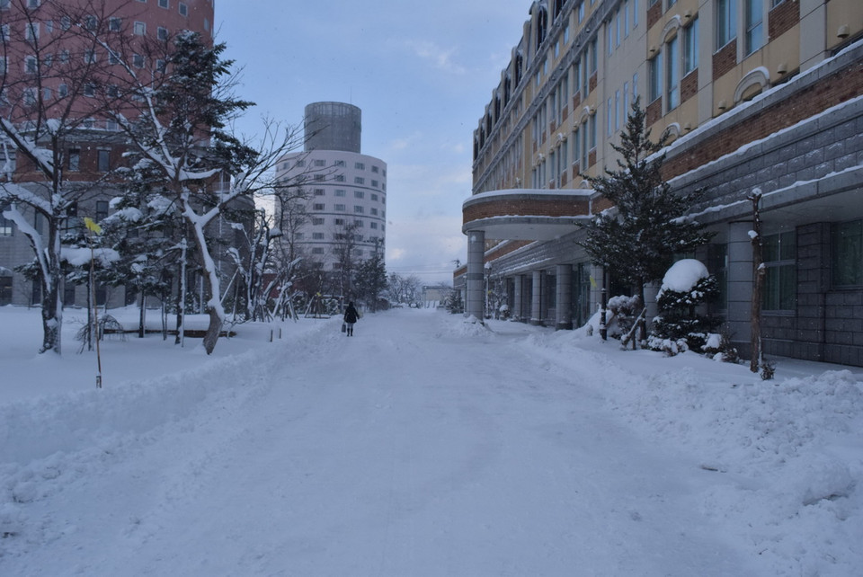 Một góc trường đại học.(Ảnh: Nguyễn Tuyến-Gia Quân/Vietnam+)