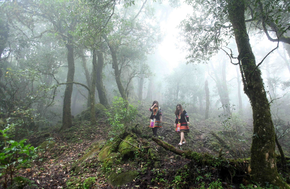 Vẻ đẹp hùng vĩ của Tả Liên Sơn thu hút nhiều bạn trẻ tới khám phá. (Ảnh: Quý Trung/TTXVN)