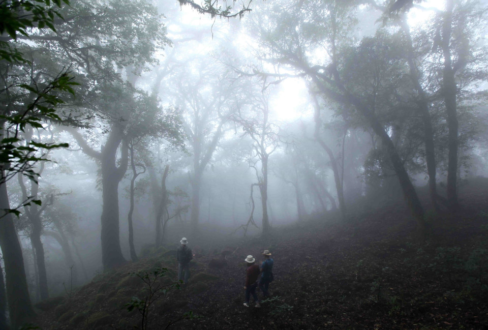 Vẻ đẹp hùng vĩ của Tả Liên Sơn thu hút nhiều bạn trẻ tới khám phá. (Ảnh: Quý Trung/TTXVN)