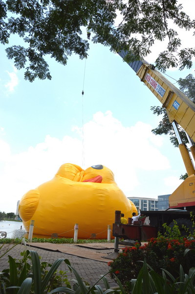 Sau 30 phút bơm hơi, Chú Vịt Vàng dần thành hình. (Ảnh: Sỹ Dũng/Vietnam+)