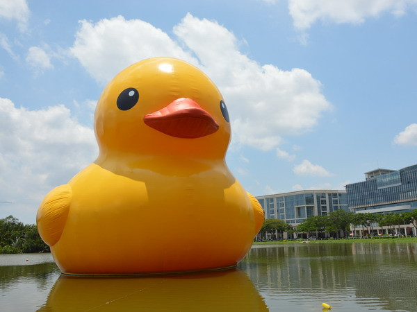 Chú Vịt Vàng đã có mặt trên Hồ Bán Nguyệt, sẵn sàng chào đón khách tham quan. (Ảnh: Sỹ Dũng/Vietnam+)