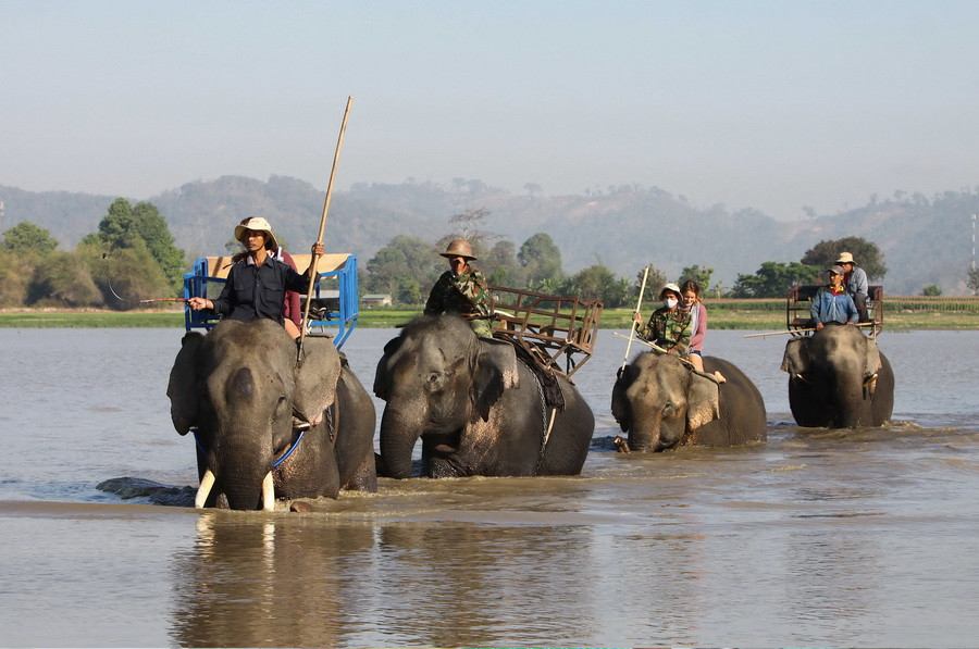 Du khách cưỡi voi thăm trên Hồ Lắk. (Ảnh: Dương Giang/TTXVN)