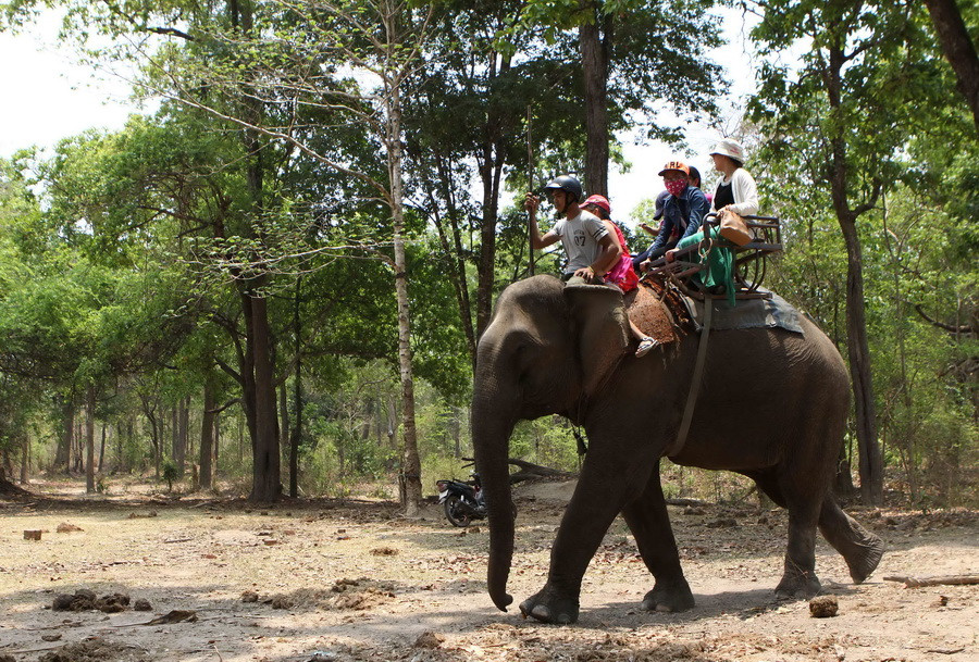 Du khách cưỡi voi thăm Vườn Quốc gia Yok Đôn. (Ảnh: Dương Giang/ TTXVN)