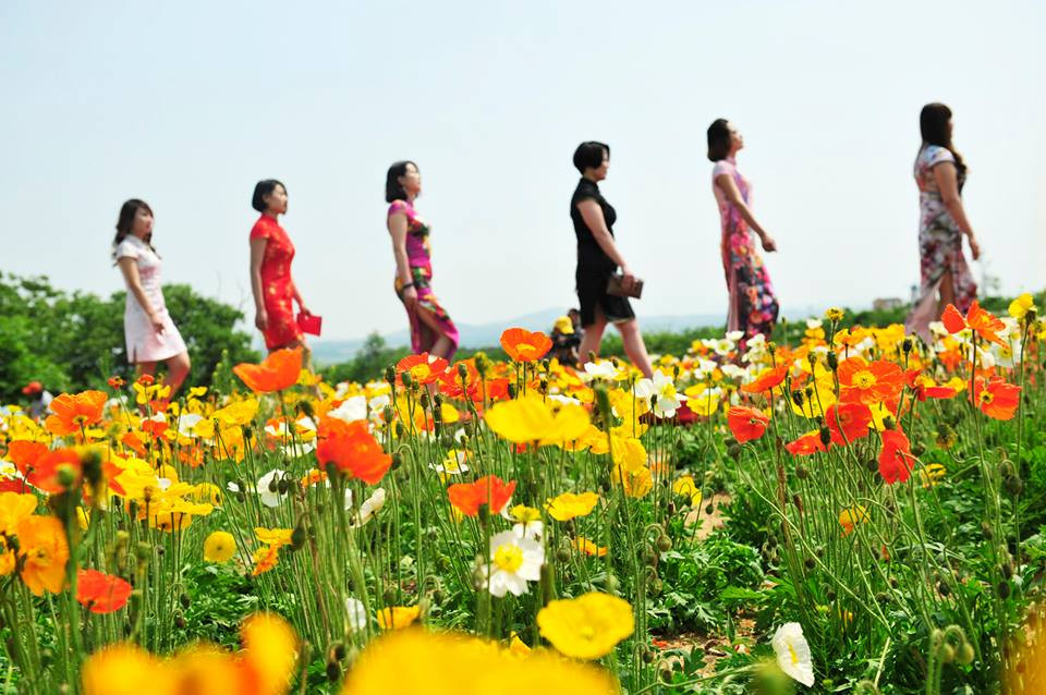 Không chỉ nhằm mục đích quảng bá văn hóa truyền thống của Trung Quốc, hoạt động này còn hy vọng có thể ghi được kỷ lục Guinness về sự kiện nhiều người mặc áo Xường xám đông nhất thế giới. (Nguồn: CCTVNews)