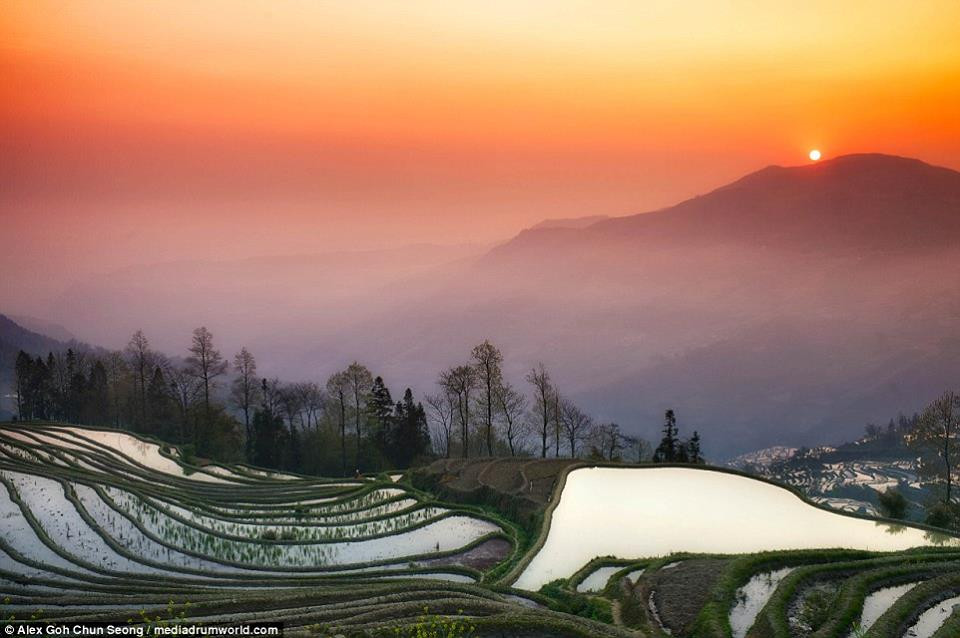 Ông đã tới vùng Nguyên Dương của Vân Nam (Trung Quốc) để ghi lại cảnh hoàng hôn trên cánh đồng. (Nguồn: CCTVNews)