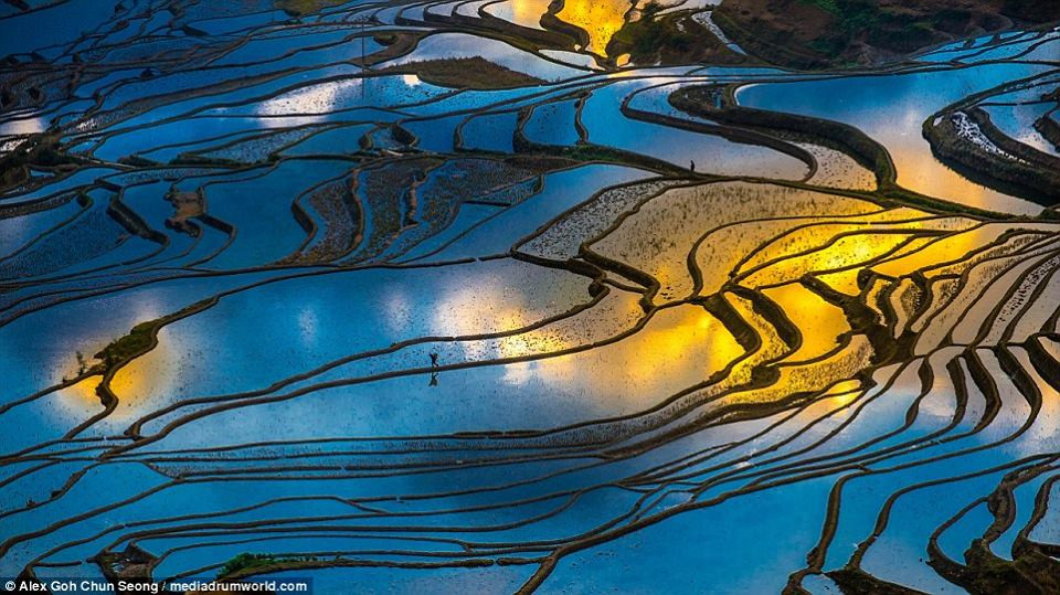 Chụp mỗi bức ảnh mất 30 phút trước khi mặt trời lặn để có thể ghi lại cảnh phản chiếu trên ruộng. (Nguồn: CCTVNews)