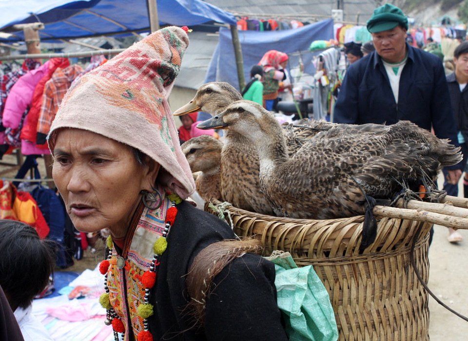 Người phụ nữ dân tộc Dáy với món hàng đem bán. (Ảnh: Trần Việt/TTXVN)