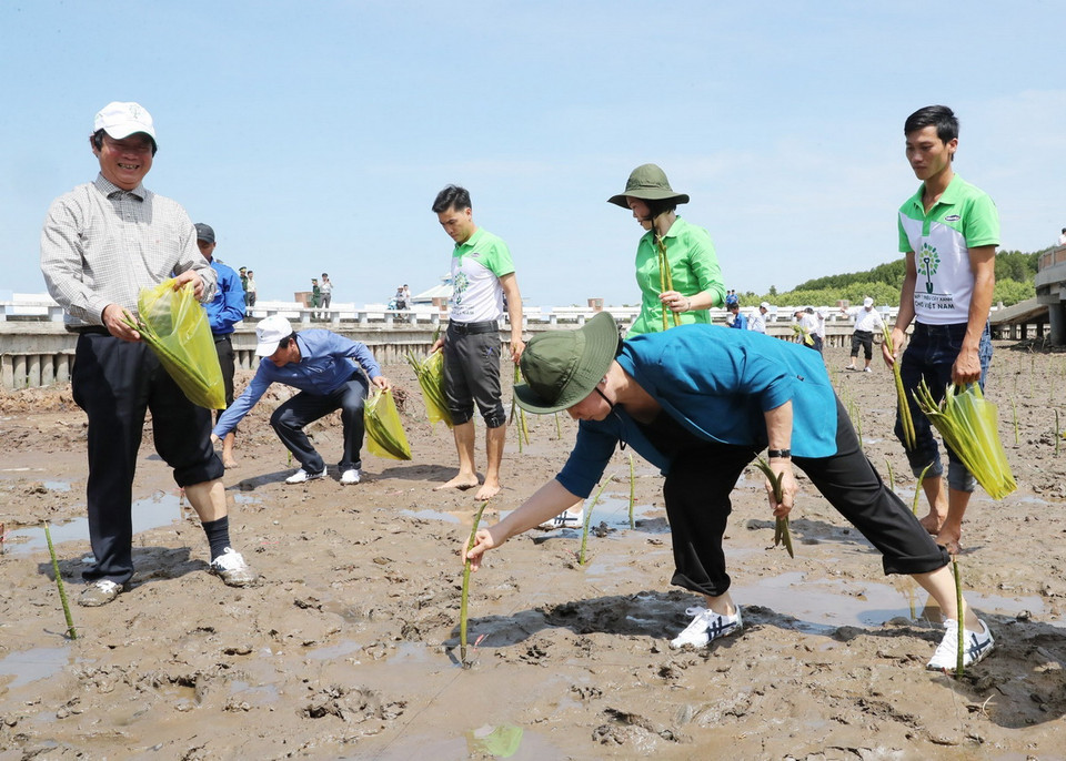 Đây là hoạt động trong chương trình Quỹ 1 triệu cây xanh cho Việt Nam. (Ảnh: Trọng Đức/TTXVN)