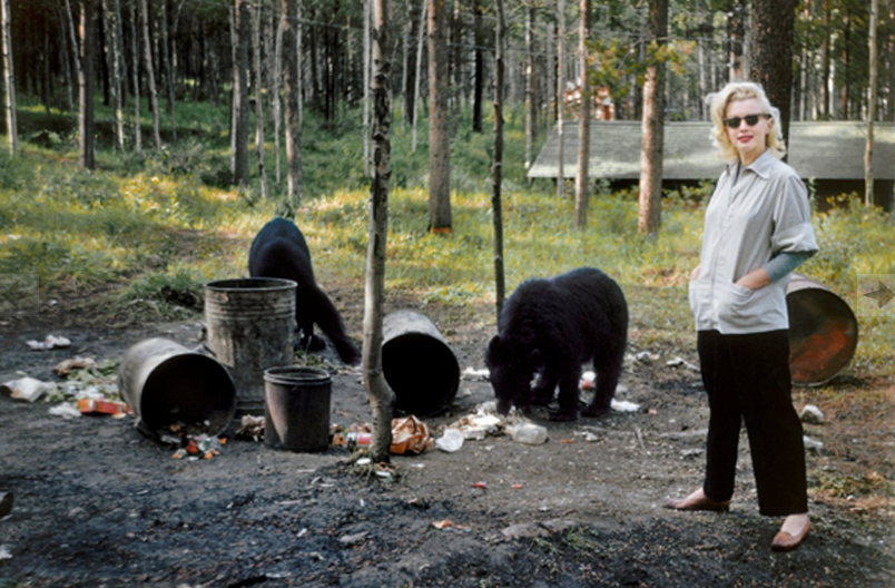 Năm 1953, Marilyn Monroe trong 'thedailybeast.com.' (Nguồn: thedailybeast.com)