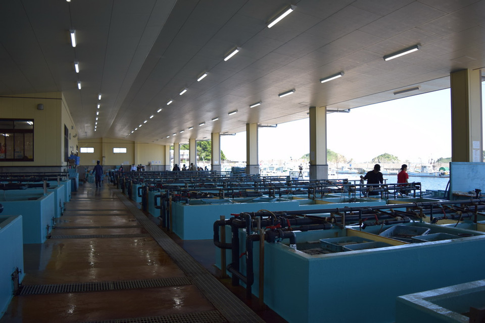 (Ảnh: Nguyễn Tuyến/Vietnam+)