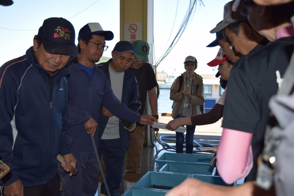 Người điều khiển phiên đấu giá (cầm gậy) lần lượt chỉ từng khay cá được đem ra đấu giá đồng thời xướng tên ngư dân đánh bắt.