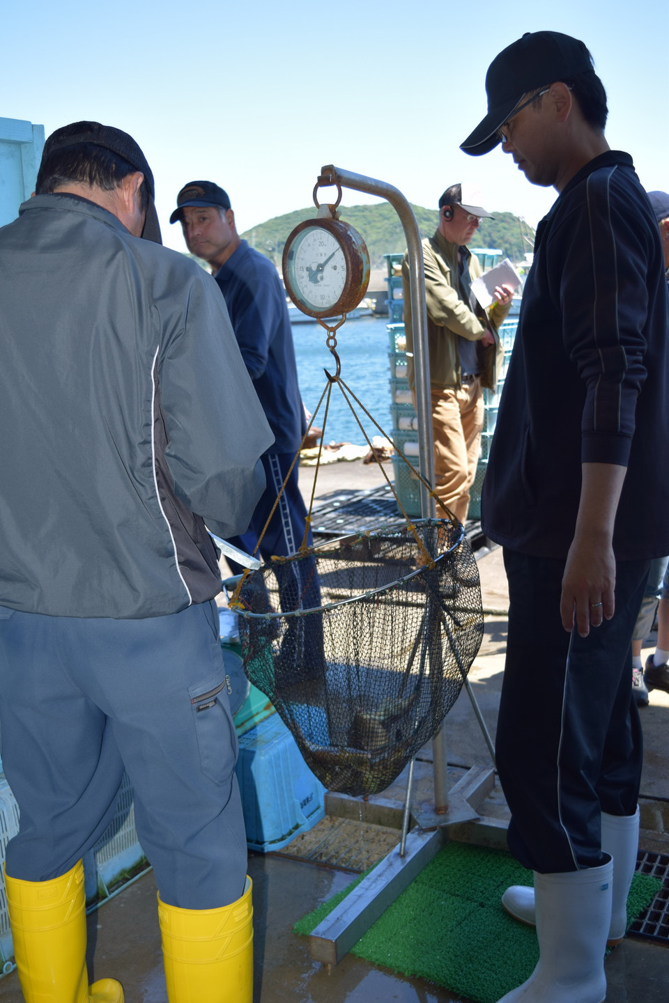 Cá được cân trước khi được cho vào các khay nhựa ghi tên ngư dân đã đánh bắt