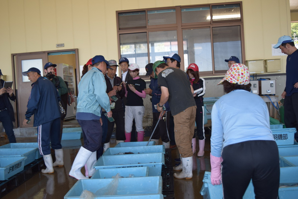 Khách hàng tụ tập chuẩn bị cho phiên đấu giá đầu tiên trong ngày. 