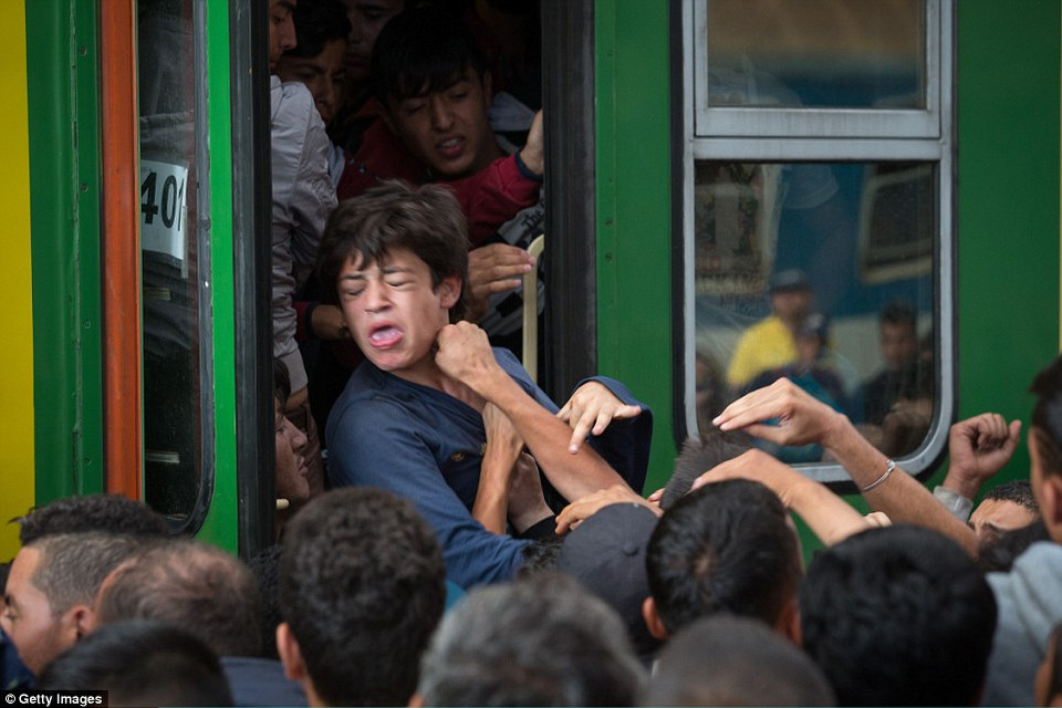 Một thanh niên bị những người tị nạn dưới đường đấm vào mặt khi cố giúp những người bạn của mình chen lên tàu. (Nguồn: Dailymail)