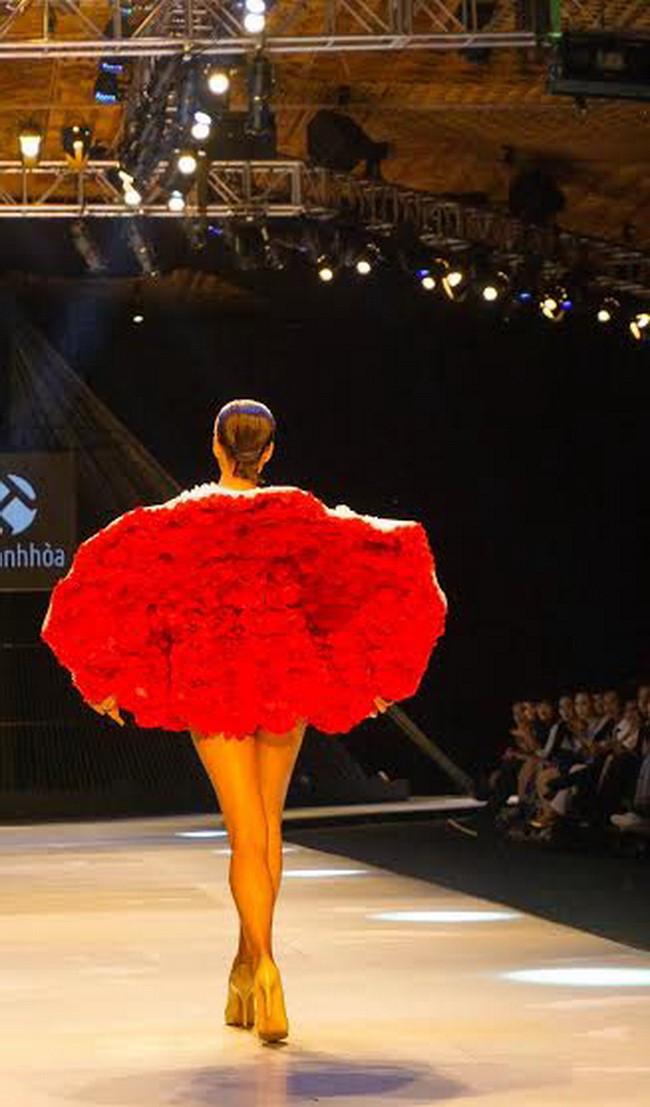 (Ảnh: Lưu Đạt)