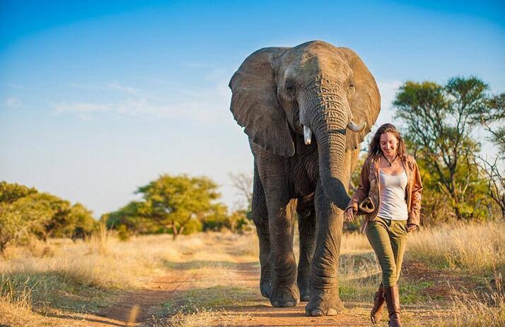 Trong vòng hơn 1 năm, cô đã ghi lại những khoảnh khắc mình được nằm trong khuôn hình cùng những loài động vật hoang dã. (Nguồn: CCTVNews)