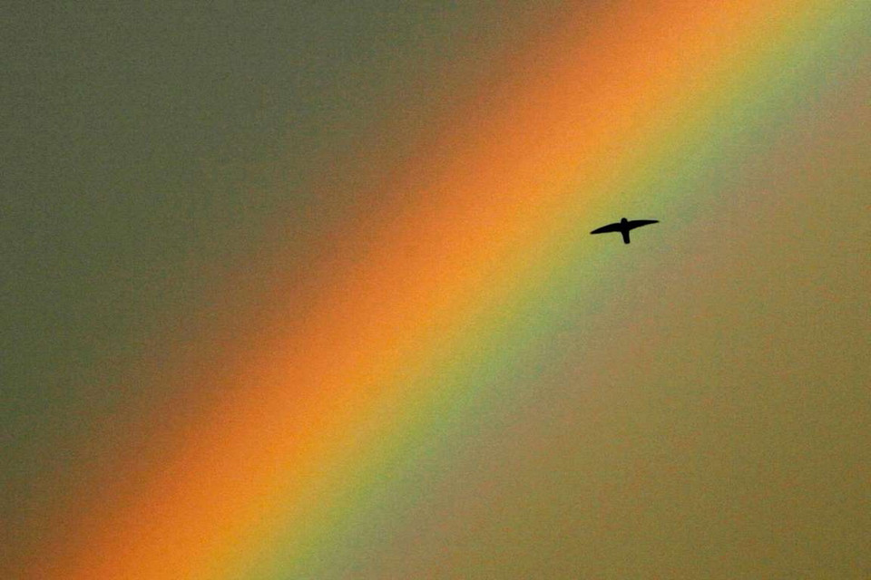 Cầu vồng ở Singapore. (Nguồn: Reuters)