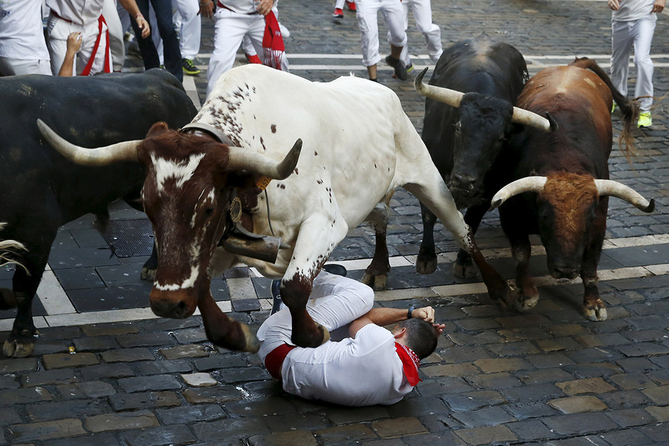Cuộc thi chạy đua cùng bò tót được tổ chức vào mọi buổi sáng trong chín ngày diễn ra lễ hội. Đường đua dài 850m từ chuồng bò tới trường đấu bò thành phố. (Nguồn: Reuters)