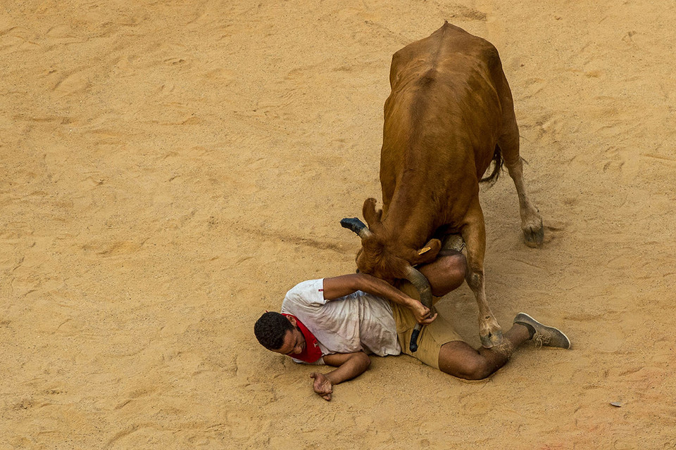(Nguồn: Getty Images)
