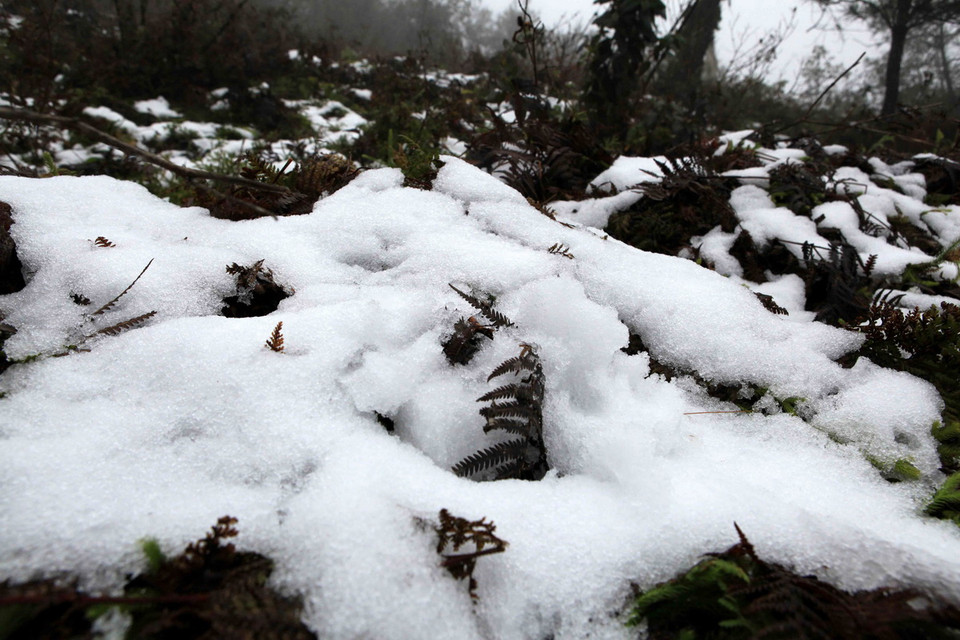 Những người tham gia tuần hành trèo lên phần thân tượng đài tại Quảng trường Cộng hòa giương cao cờ và biểu ngữ. (Ảnh: Bích Hà/Vietnamplus)