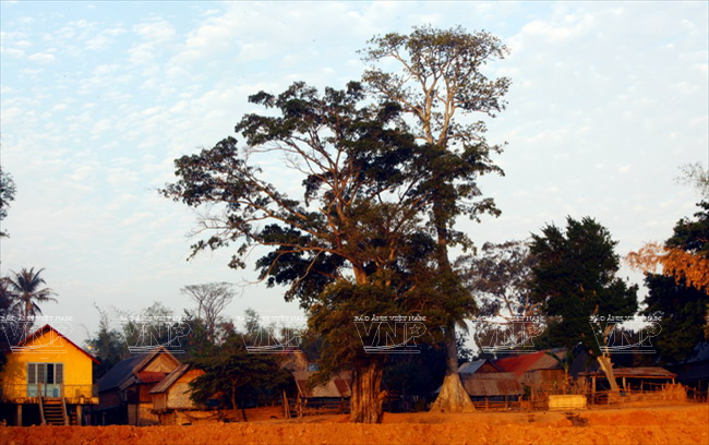 Bản Lắk là nơi có những nếp nhà truyền thống của bà con dân tộc M'nông nằm ven hồ. (Ảnh: Tất Sơn/Báo ảnh Việt Nam)