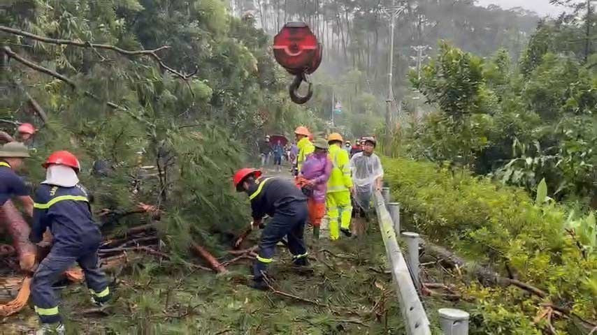 Lực lượng chức năng thu dọn, xử lý cây đổ ở đường lên khu du lịch Tam Đảo (Vĩnh Phúc), đảm bảo cho người dân và các phương tiện lưu thông bình thường. (Ảnh: Nguyễn Thảo/TTXVN)