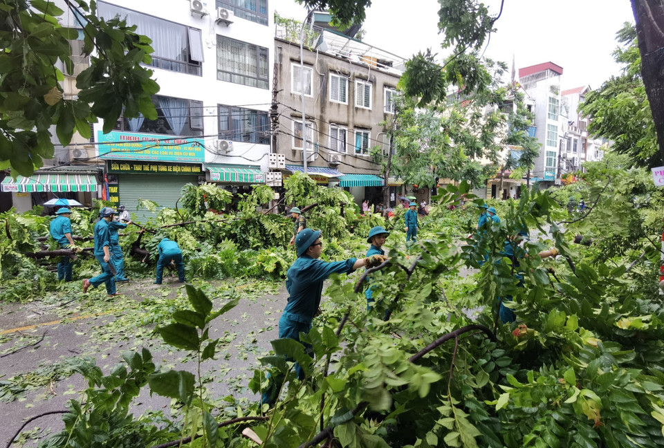 Các lực lượng khẩn trương triển khai các công tác khắc phục hậu quả cây đổ trên phố Dương Văn Bé (Hà Nội) sáng 8/9. (Ảnh: Thanh Tùng/TTXVN)