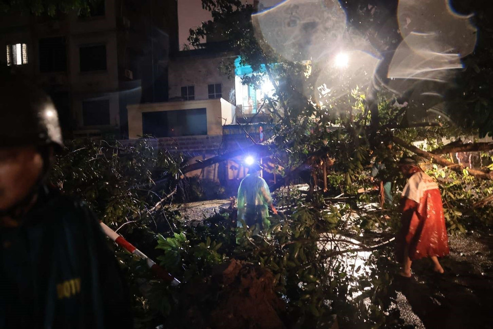 Lực lượng chức năng cắt cây đổ chắn ngang đường Đồng Nhân, quận Hai Bà Trưng (Hà Nội), lúc 22h đêm 7/9. (Ảnh: Hoàng Hiếu/TTXVN)