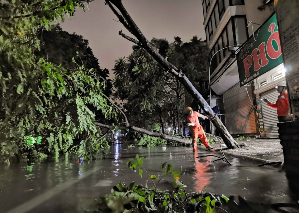 Cây gãy đổ đè lên đường dây điện trên phố Dương Văn Bé (Hà Nội) được nhân viên điện lực kịp thời khắc phục. (Ảnh: Thanh Tùng/TTXVN)