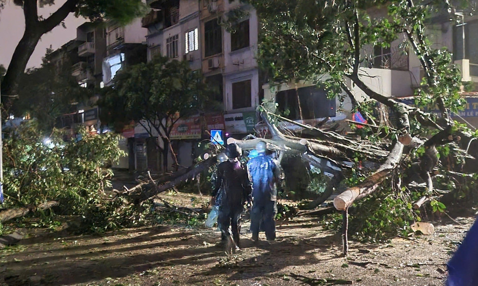 Lực lượng chức năng đang tiến hành cưa cây đổ trên phố Đỗ Ngọc Du-Nguyễn Công Trứ (Hà Nội), lúc 22h15 đêm 7/9. (Ảnh: Doãn Tấn/TTXVN)