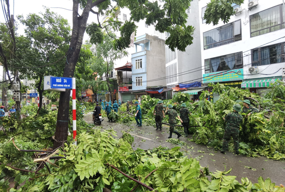 Khẩn trương khắc phục hậu quả cây đổ trên phố Dương Văn Bé, quận Hai Bà Trưng (Hà Nội) sáng 8/9. (Ảnh: Thanh Tùng/TTXVN)