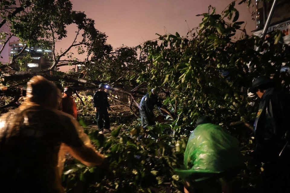 Lực lượng chức năng cắt cây đổ chắn ngang đường Đồng Nhân, quận Hai Bà Trưng Hà Nội, lúc 22h đêm 7/9. (Ảnh: Hoàng Hiếu/TTXVN)