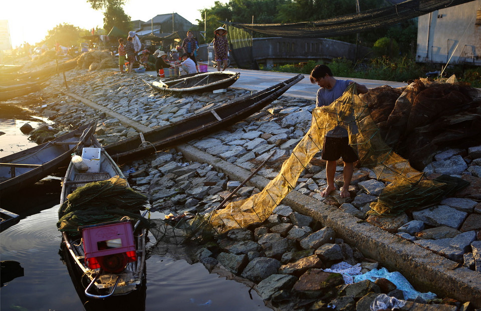 Về Đầm Chuồn từ tháng 4 đến tháng 7, du khách được hòa mình vào không khí rộn ràng của mùa thu hoạch thuỷ hải sản. (Ảnh: Hồ Cầu/TTXVN)
