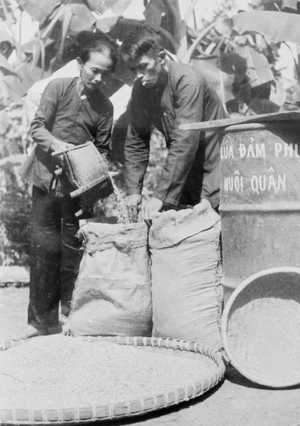 Gia đình một nông dân ở Ân Phong, Hoài Ân, Bình Định ủng hộ lúa cho cách mạng, góp phần nuôi quân chiến đấu. (Ảnh: Thành Vinh/TTXVN)