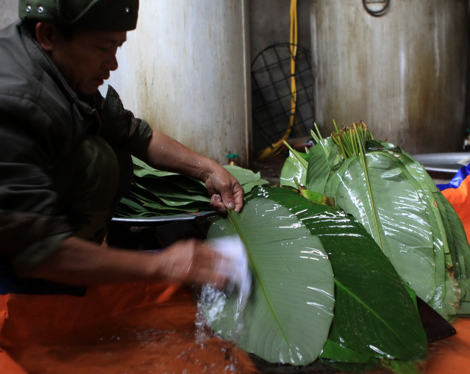 Lá dong được rửa sạch rồi để cho ráo nước trước khi đem gói bánh. (Ảnh: Vũ Sinh/TTXVN) 