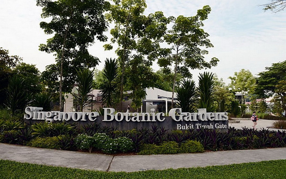 Một cửa vào của Botanic Gardens Singapore trên đường Bukit Timah. (Nguồn: Straits Times)
