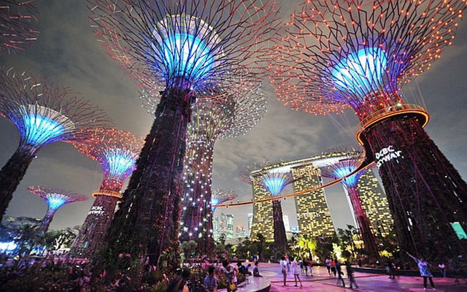 Du khách và khách du lịch đang chiêm ngưỡng một màn trình diễn ánh sáng ngoạn mục của các siêu cây ở Gardens By The Bay tại buổi ra mắt của OCBC Skyway và OCBC Light and Sound Show vào ngày 2/7/2012. (Nguồn: Straits Times)