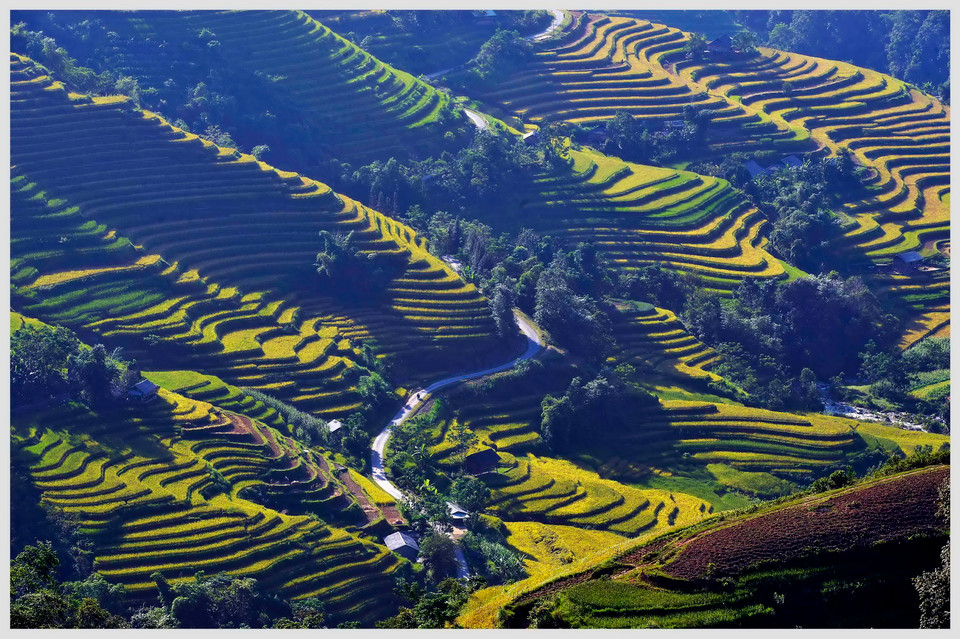 (Ảnh: Thanh Hà/TTXVN)