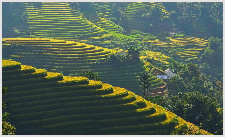 (Ảnh: Thanh Hà/TTXVN)