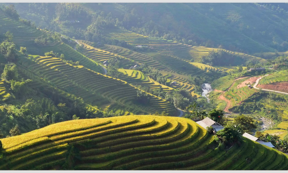 (Ảnh: Thanh Hà/TTXVN)