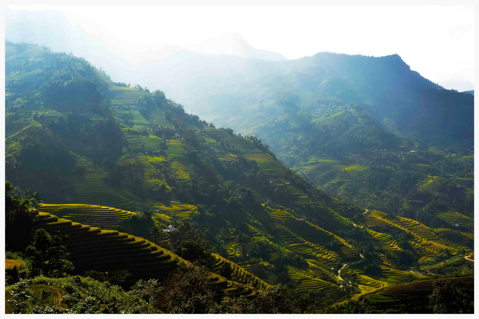 Hoàng Su Phì sở hữu hàng ngàn hécta ruộng bậc thang, được chứng nhận là Di sản Quốc gia từ năm 2012, đã trở thành điểm nhấn không thể thiếu trên bản đồ du lịch Hà Giang, hàng năm thu hút hàng nghìn lượt du khách trong và ngoài nước đến tham quan. (Ảnh: Thanh Hà/TTXVN)