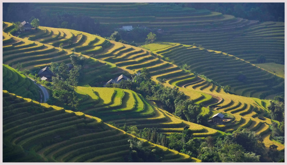 (Ảnh: Thanh Hà/TTXVN)