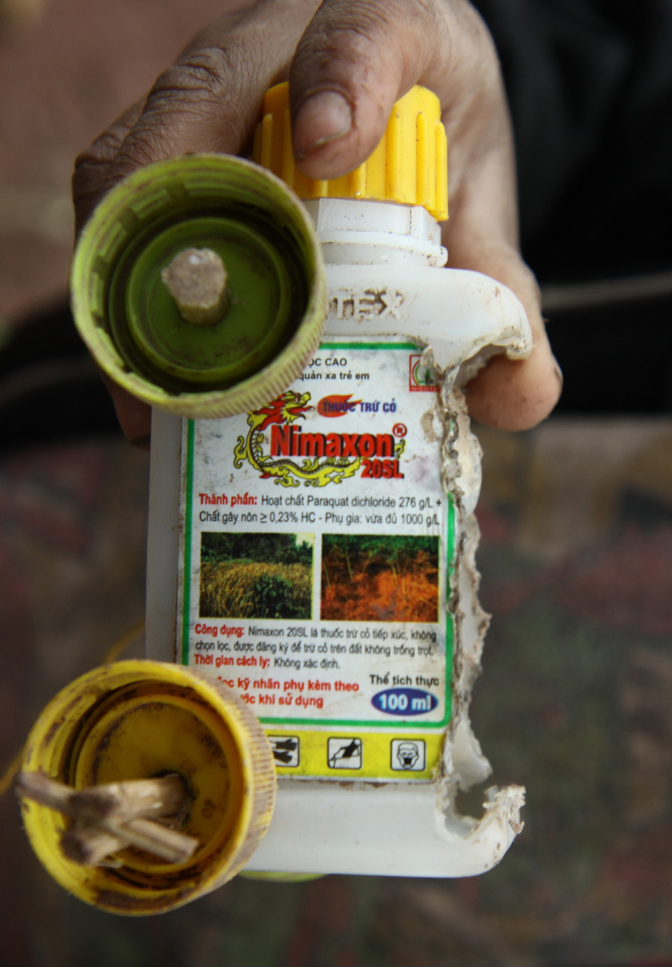 Hãng Cathay Pacific Airways. (Nguồn: Bloomberg)