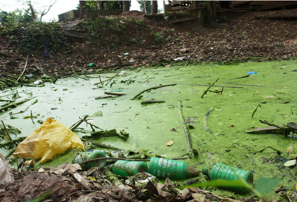 Vỏ chai thuốc bảo vệ thực vật nằm ngổn ngang khắp nơi quanh nhà dân. (Ảnh: Hồ Cầu/TTXVN) 